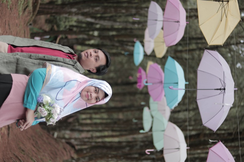 Gallery Photo - Momen Manis