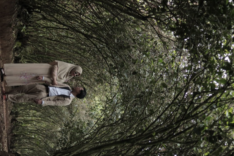 Gallery Photo - Pre-Wedding